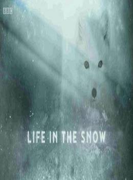 life-in-the-snow