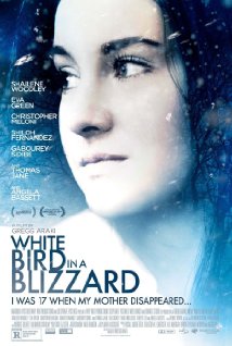 white-bird-in-a-blizzard